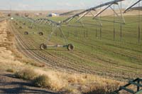 CenterPivotPhoto_223