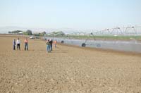 CenterPivotPhoto_233