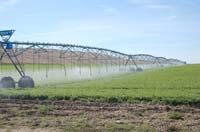 CenterPivotPhoto_236