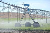 CenterPivotPhoto_237