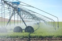 CenterPivotPhoto_238