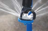 CenterPivotPhoto_243