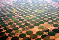 CenterPivotPhoto_244