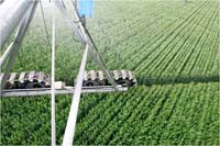 CenterPivotPhoto_248