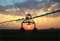 CenterPivotPhoto_249